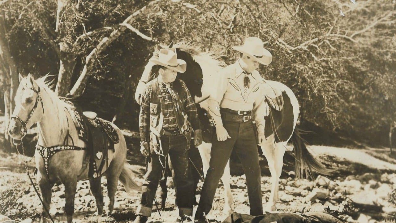 Range Lawの背景画像