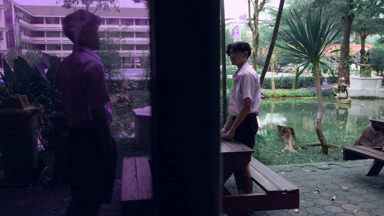 ความลับในฝูงนกの背景画像