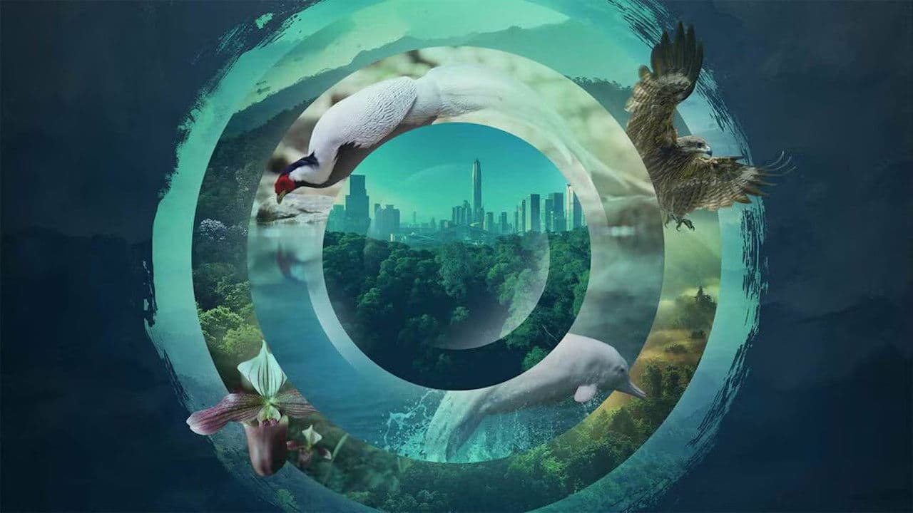 野性广东の背景画像