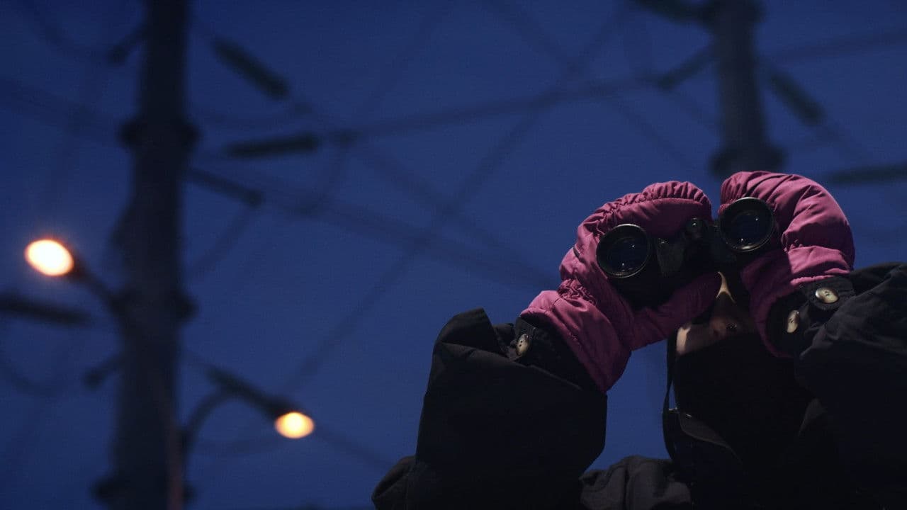 Miss Motoの背景画像