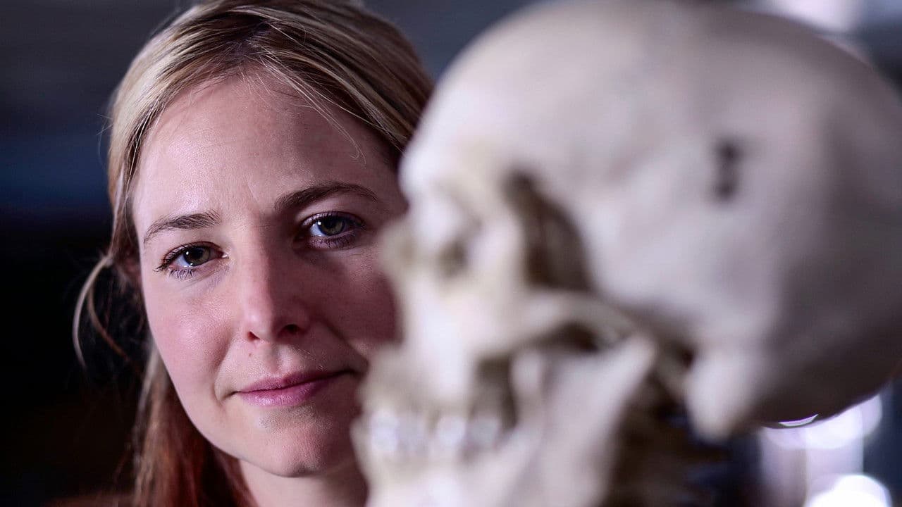 Origins of Usの背景画像