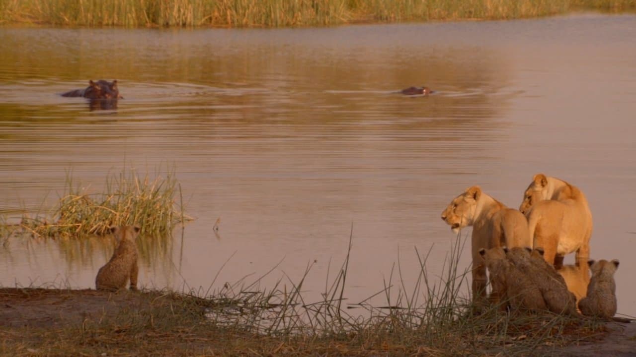 Birth of a Prideの背景画像