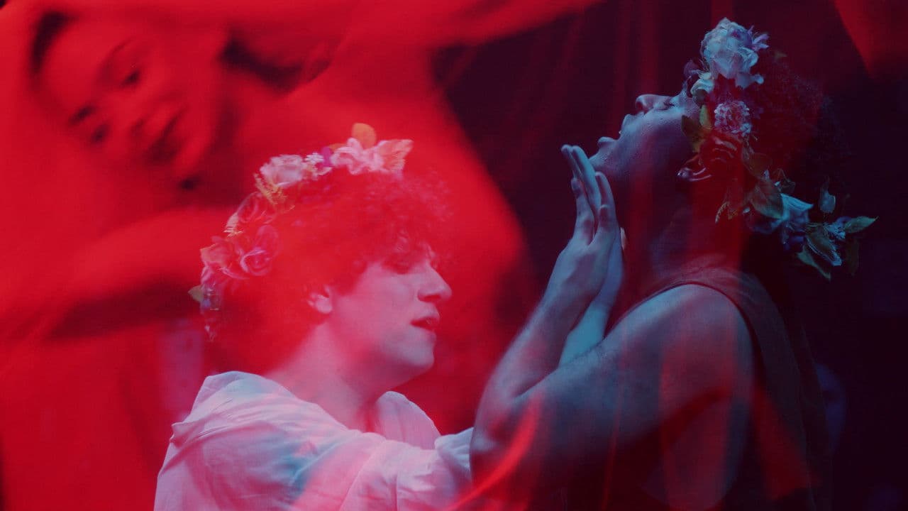 O Bosque dos Sonâmbulos no Teatro Viradalataの背景画像