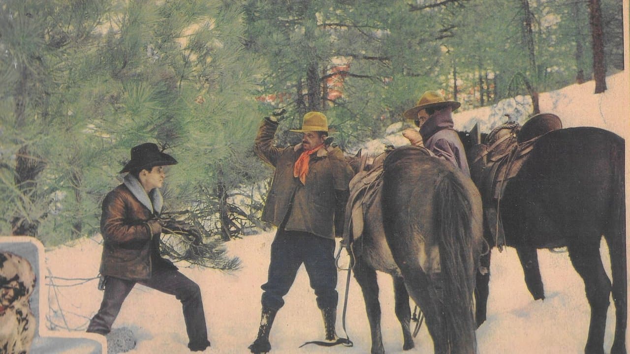 Trailing Northの背景画像