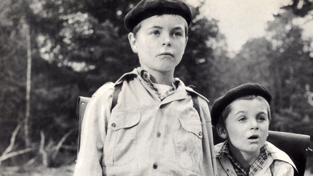 わんぱく戦争の背景画像