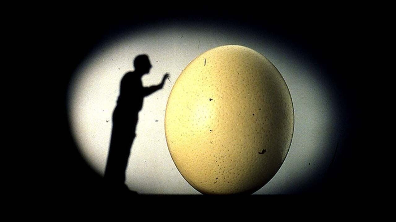 Il mnemonistaの背景画像