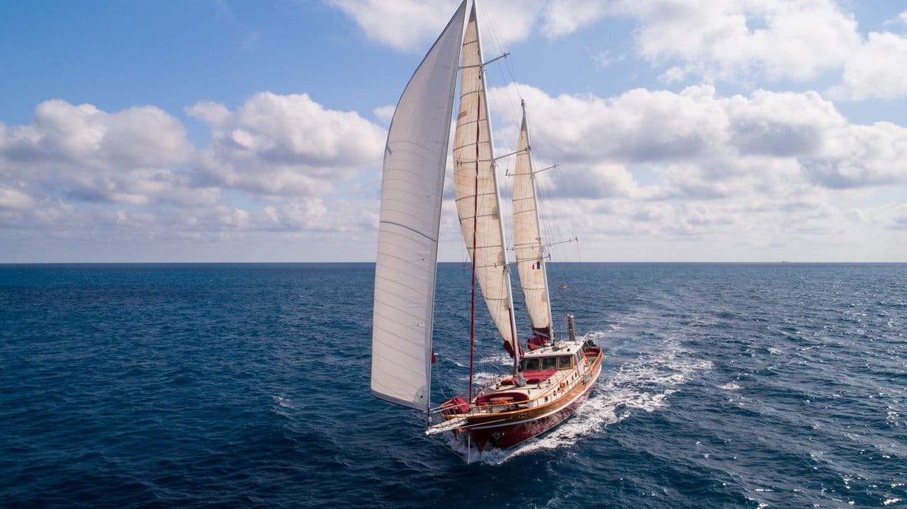 Dans le sillage d'Ulysse avec Sylvain Tessonの背景画像