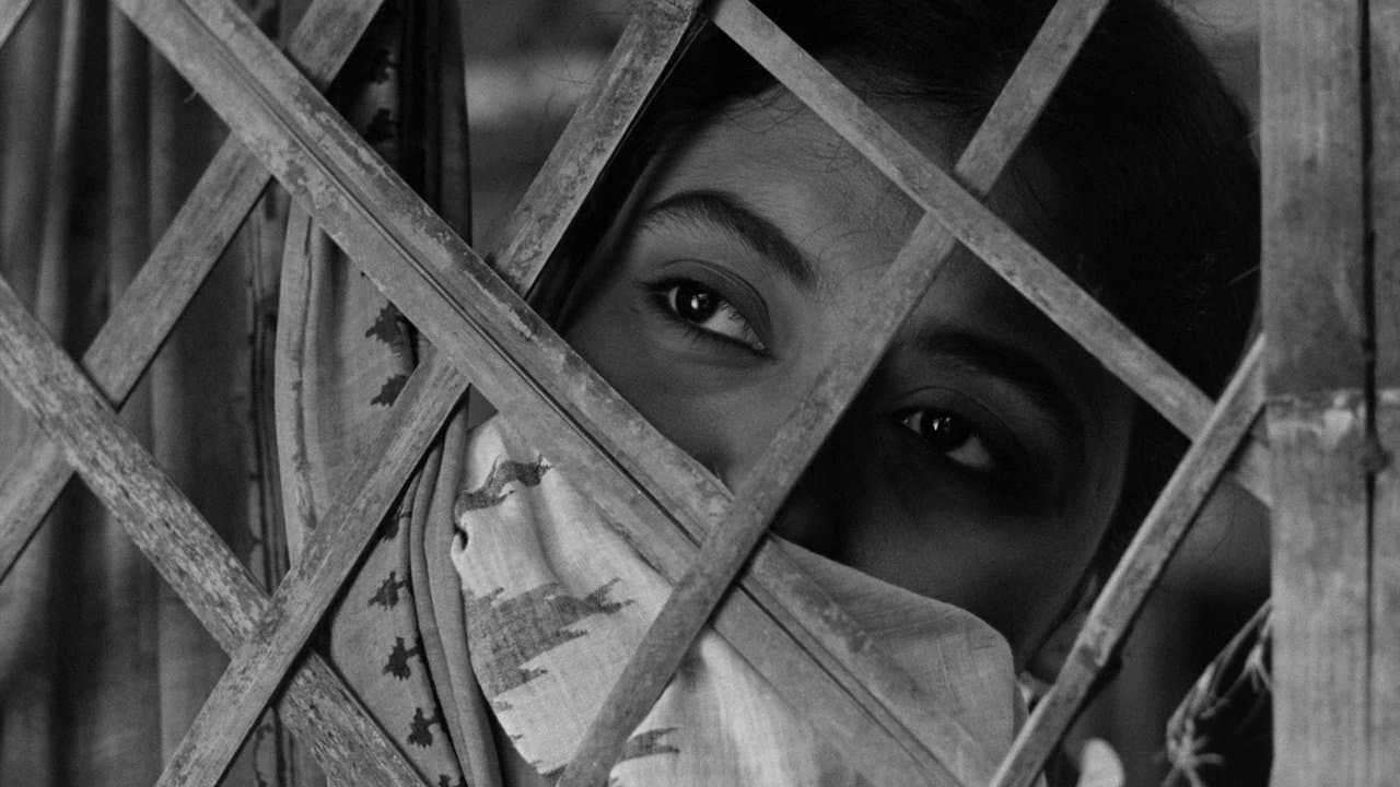 মেঘে ঢাকা তারাの背景画像