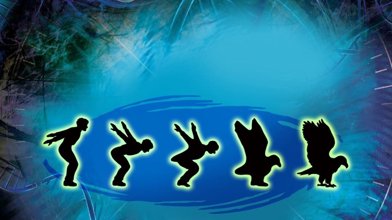 Animorphsの背景画像