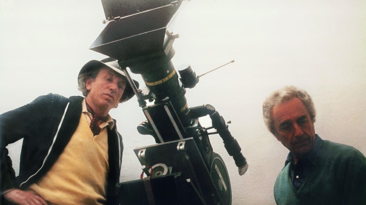 Acqua e zucchero – Carlo Di Palma: i colori della vitaの背景画像