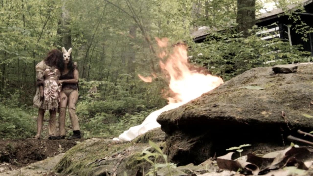 Plank Faceの背景画像