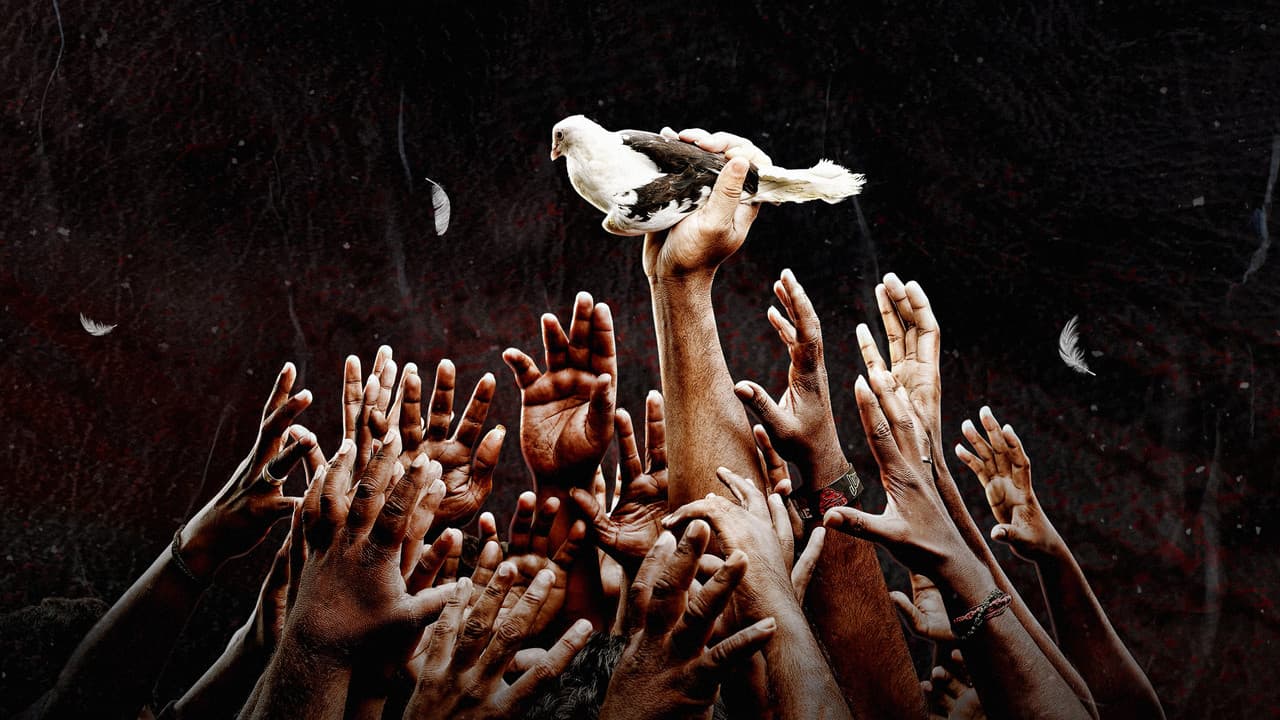 பைரி: பாகம் 1の背景画像