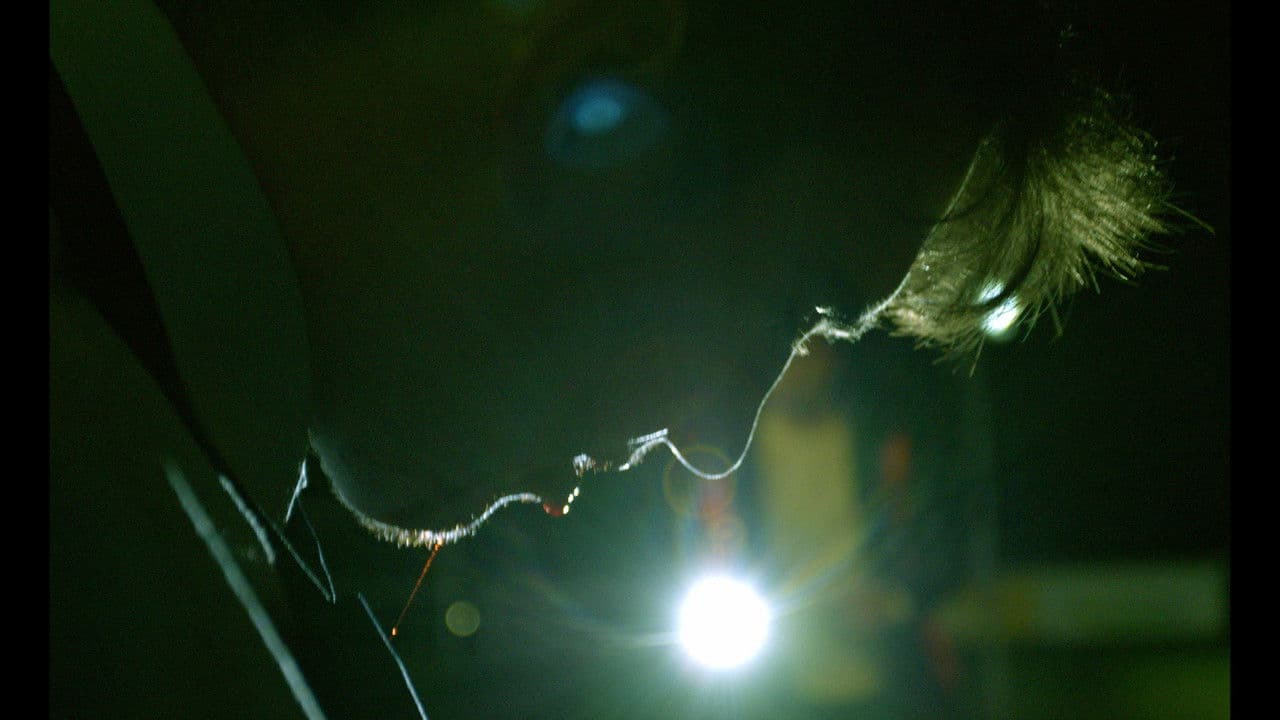 Veinedの背景画像