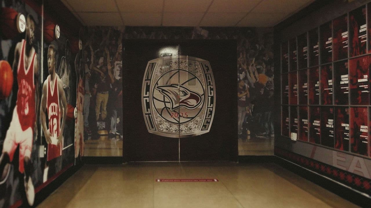 Why Not Usの背景画像