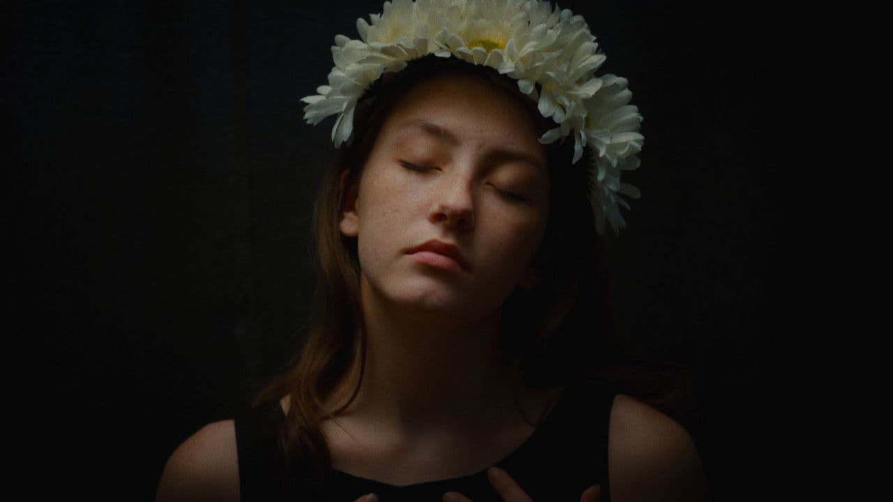 No Need for a Canvasの背景画像