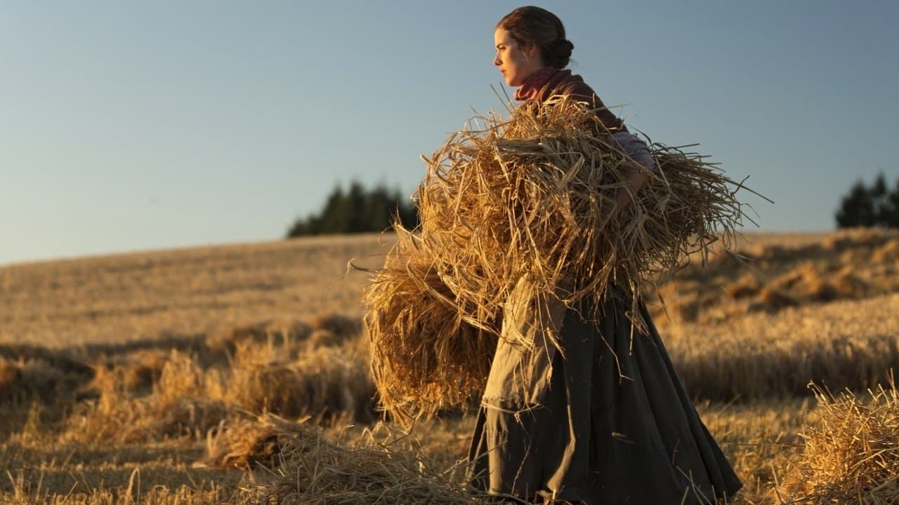 Sunset Songの背景画像