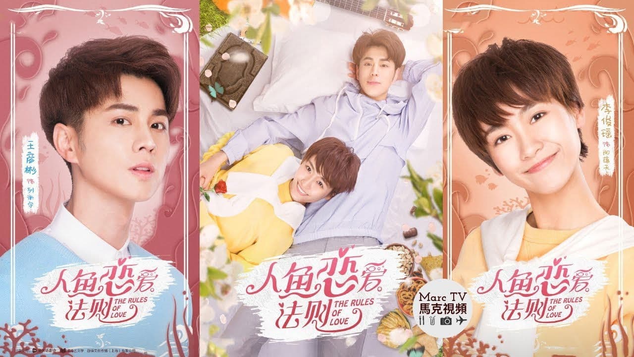 人鱼恋爱法则の背景画像