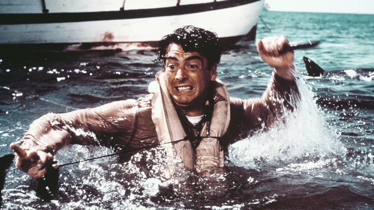 The Sharkfightersの背景画像