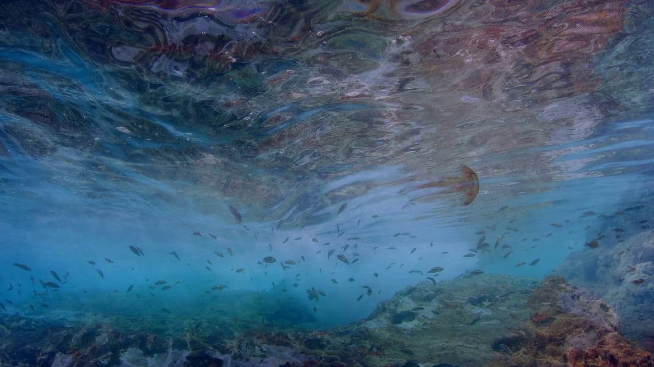 Life in the Blueの背景画像