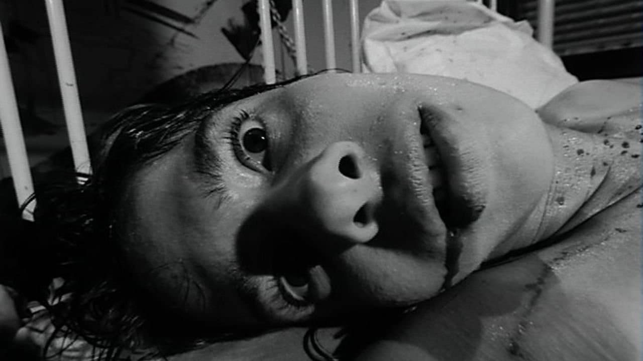 Viciousの背景画像