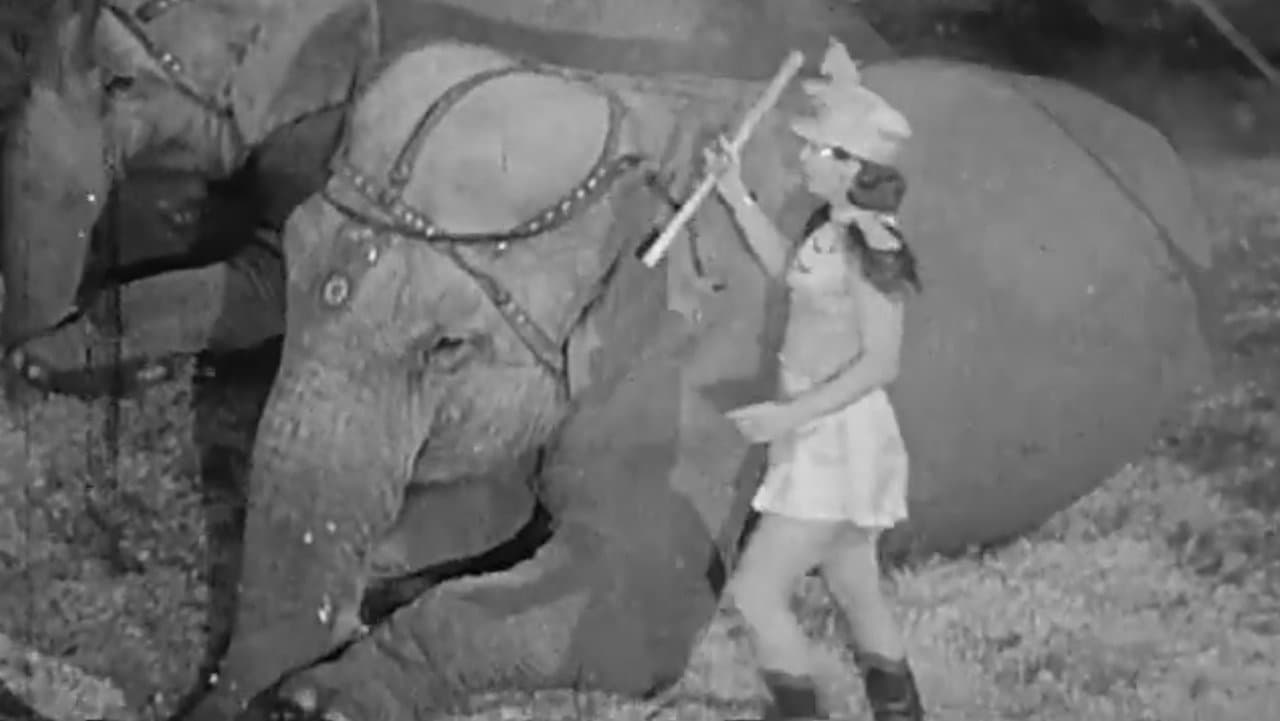 Here Comes the Circusの背景画像