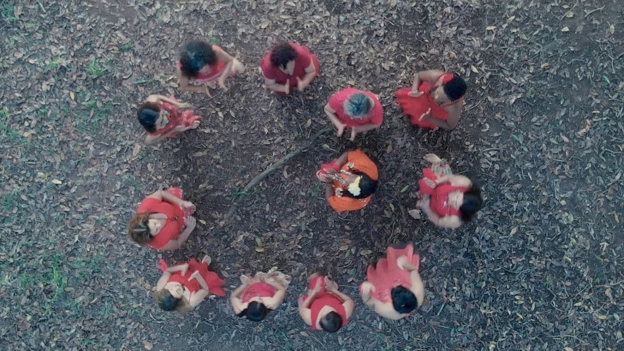 Alcateiaの背景画像