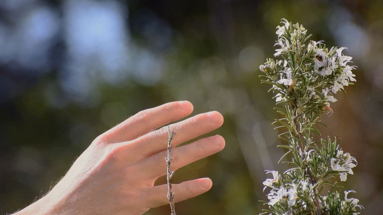 Single Blindの背景画像