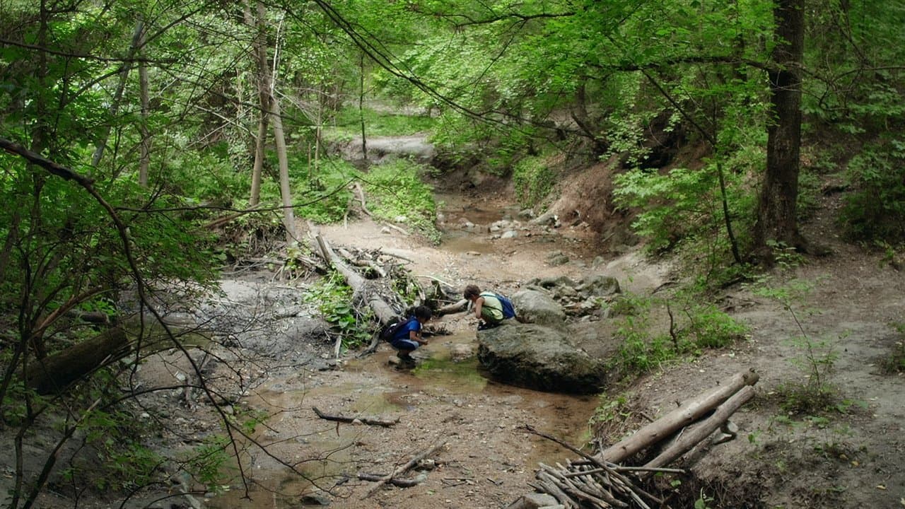 Rókavadászatの背景画像