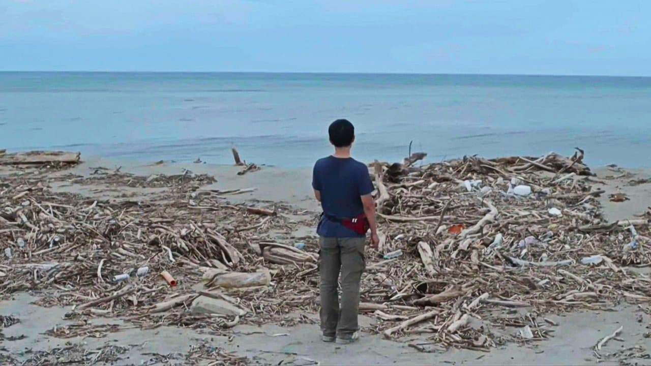 コンプリシティの背景画像