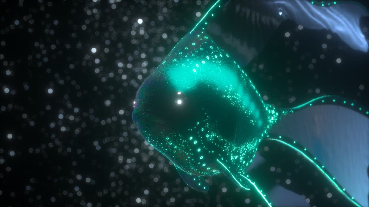 Luna Fishの背景画像