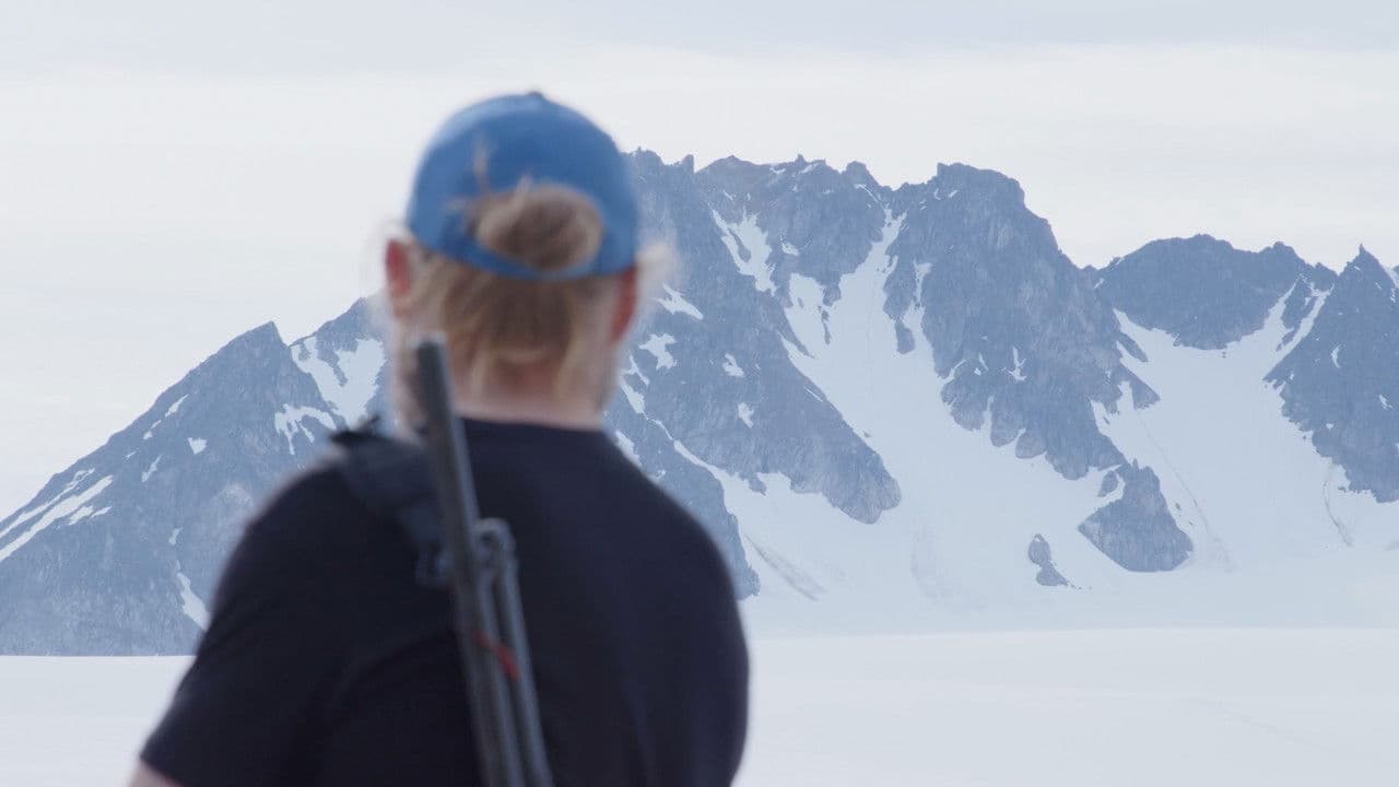 Vidarの背景画像