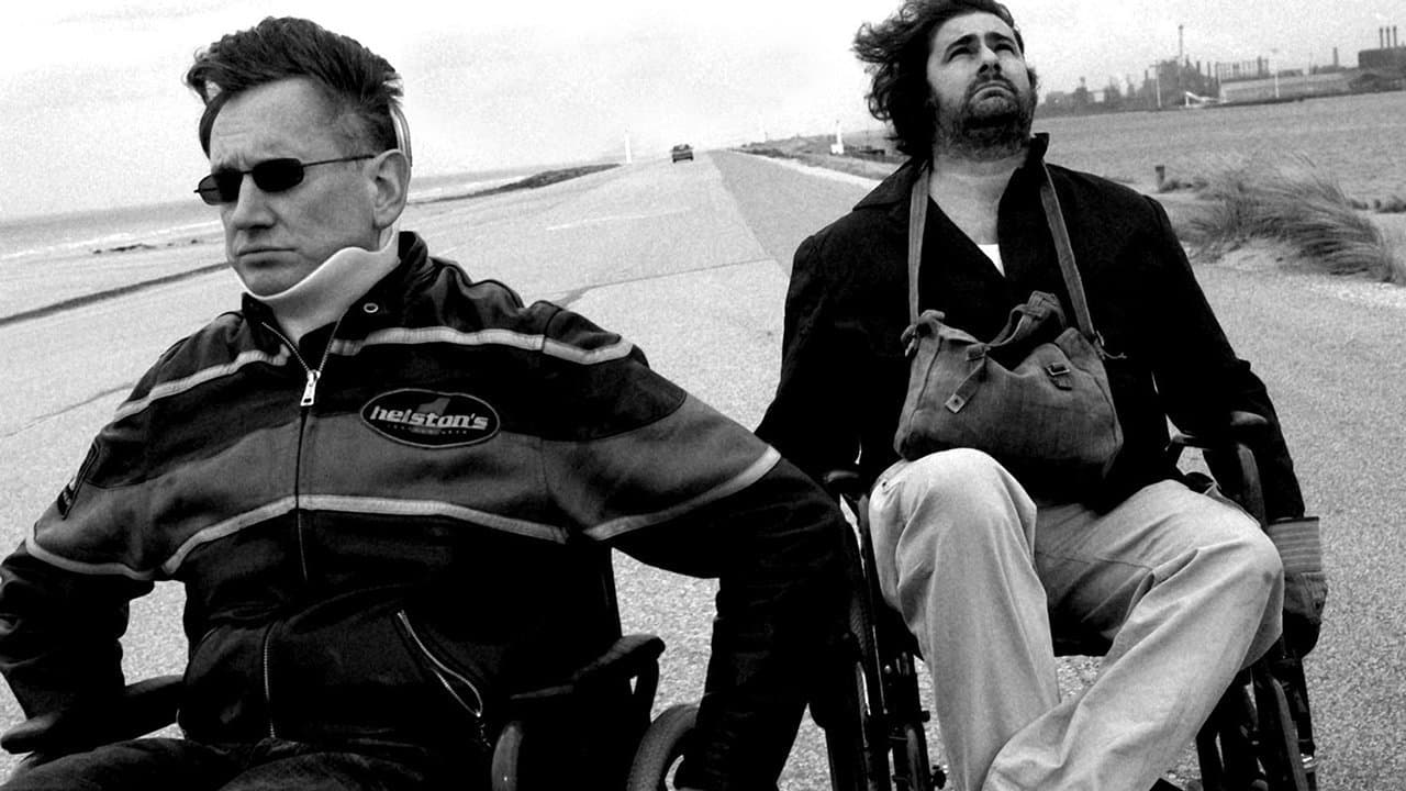 Aaltraの背景画像