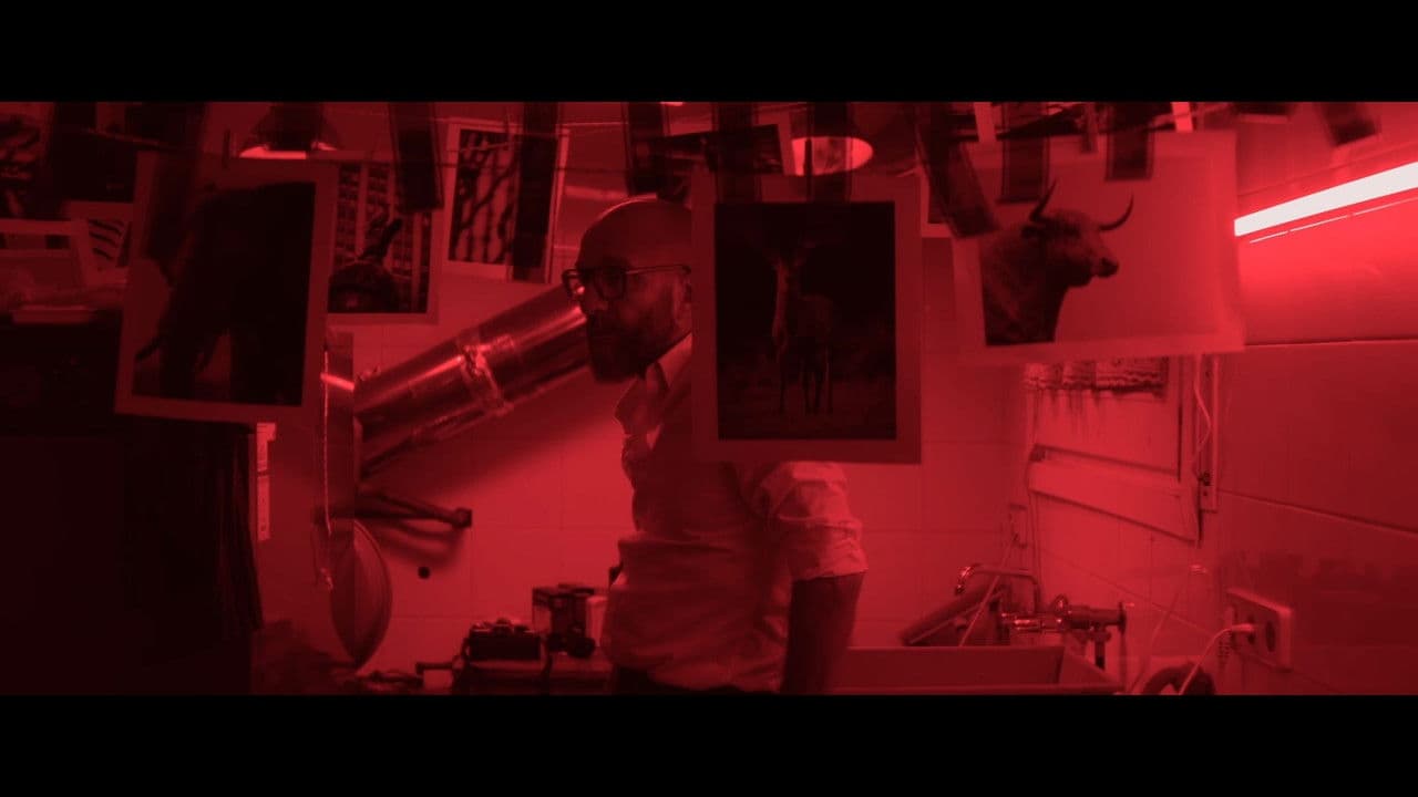 Aguacerosの背景画像