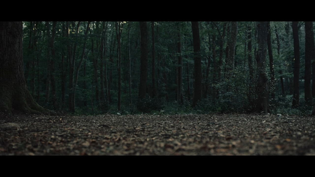 Truffleの背景画像