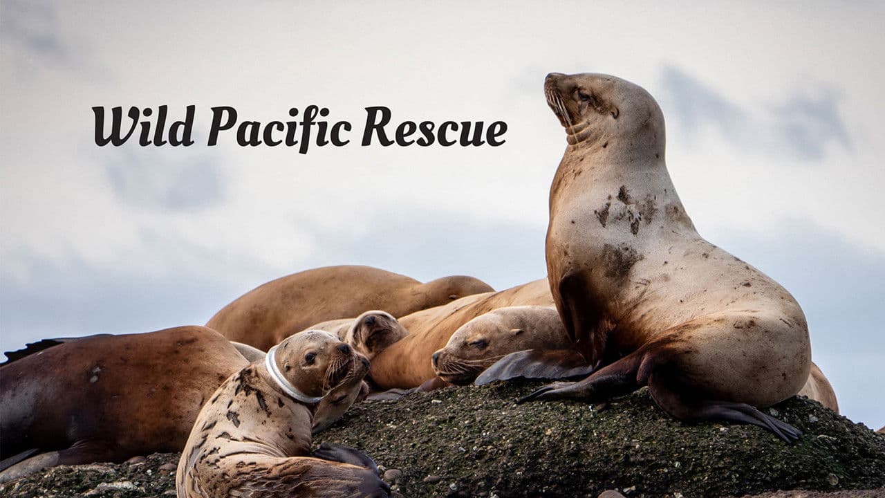 Wild Pacific Rescueの背景画像