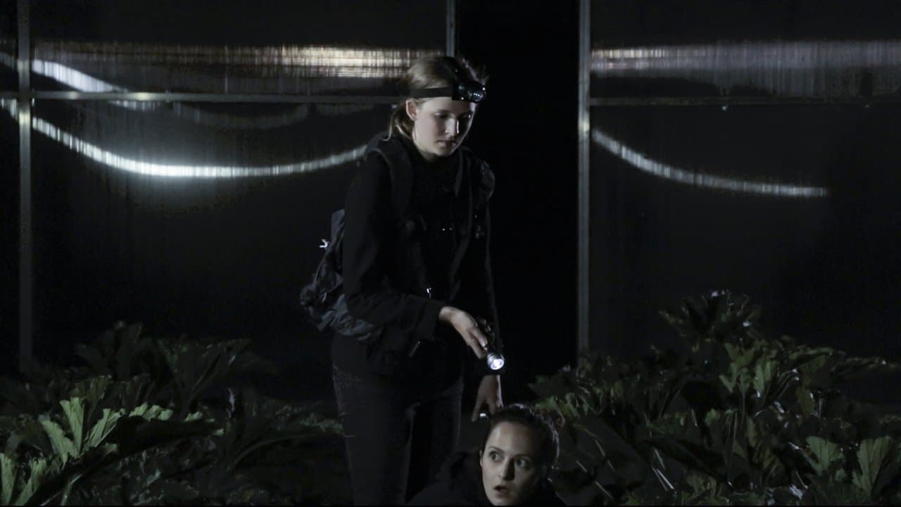 Winterzwiebeln im Sommerの背景画像