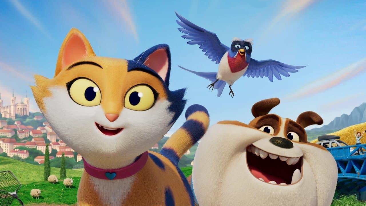 Miss Moxyの背景画像