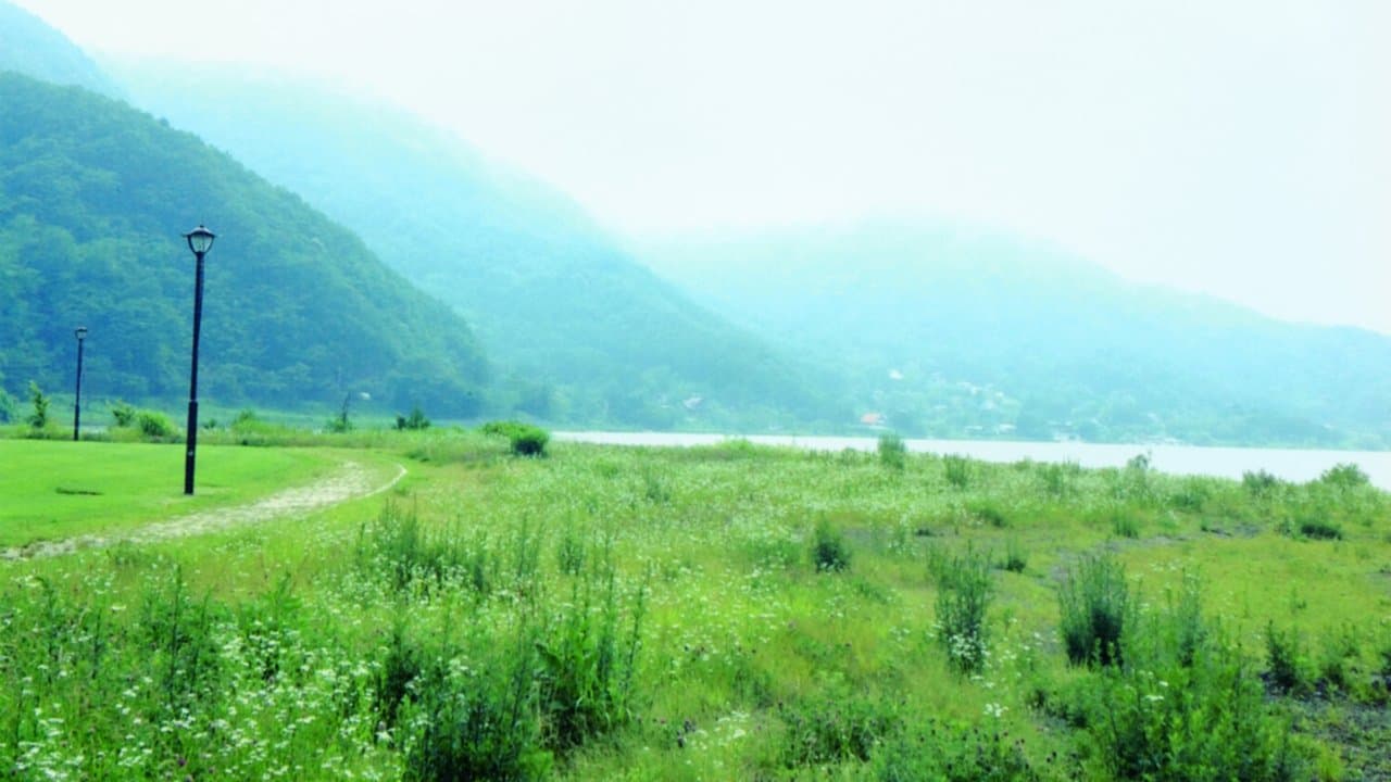 モーニング娘。'14 道重さゆみ 卒業メモリアルの背景画像