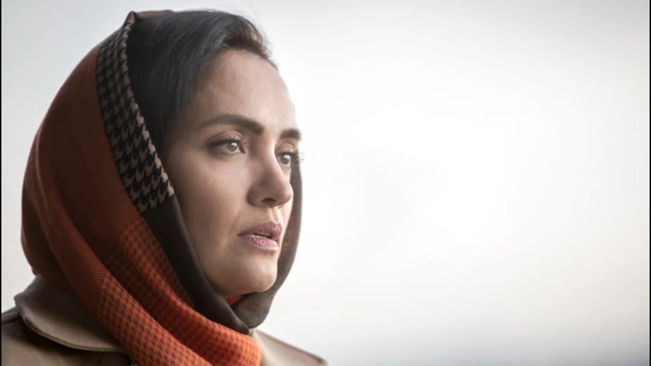 ستون 14の背景画像