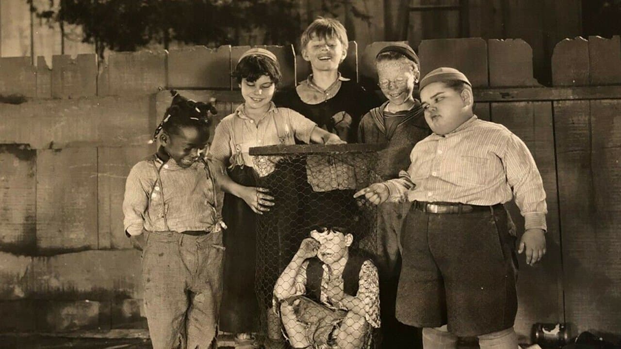 Chicken Feedの背景画像