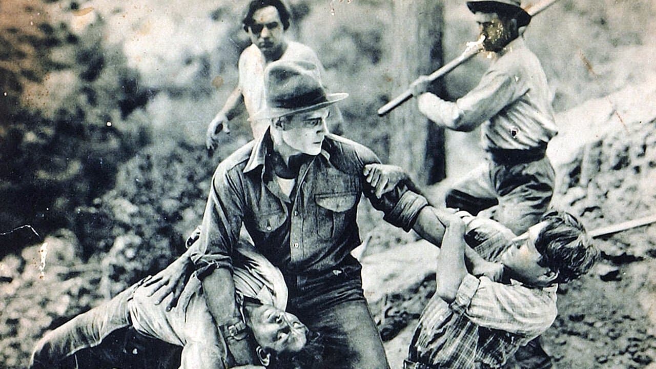 The Boss of Camp 4の背景画像