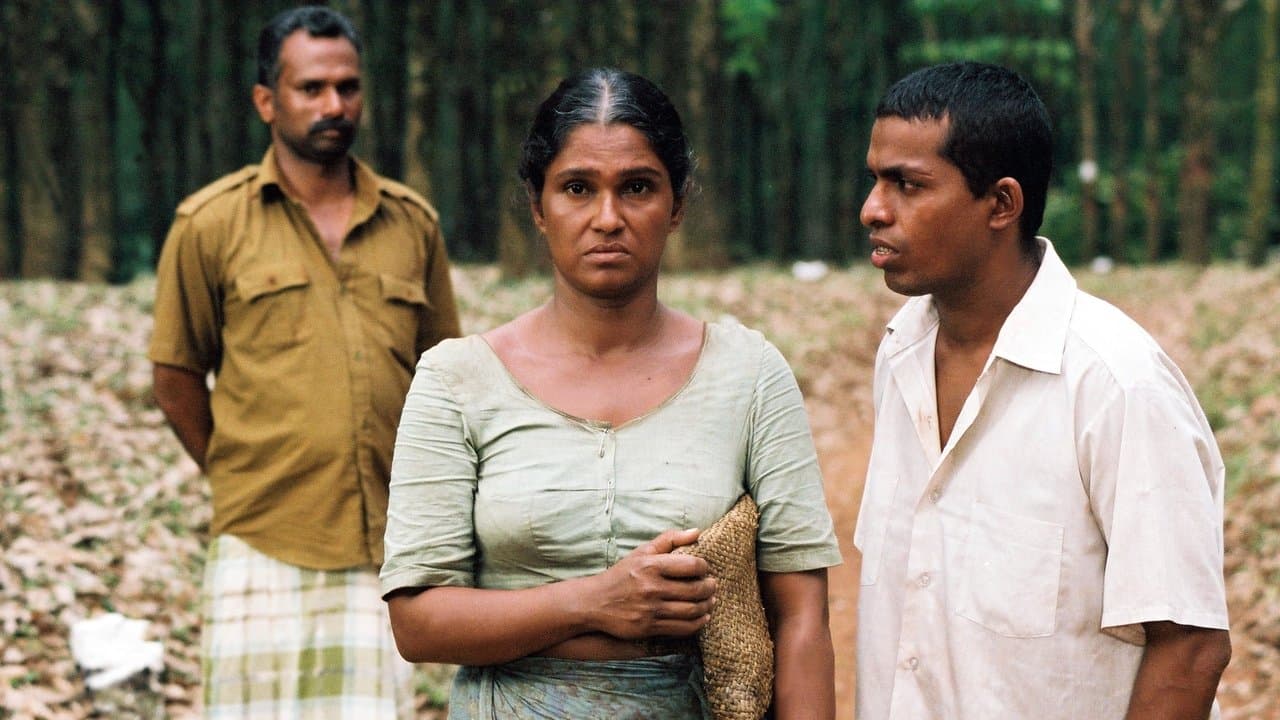 සැමීගේ කතාවの背景画像