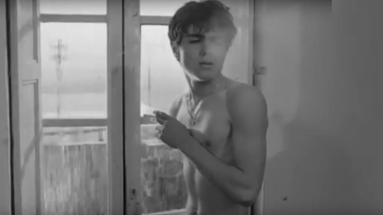 Il mareの背景画像