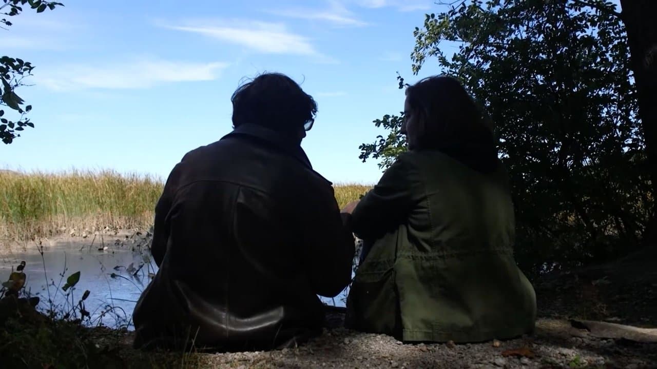 Dreamsの背景画像