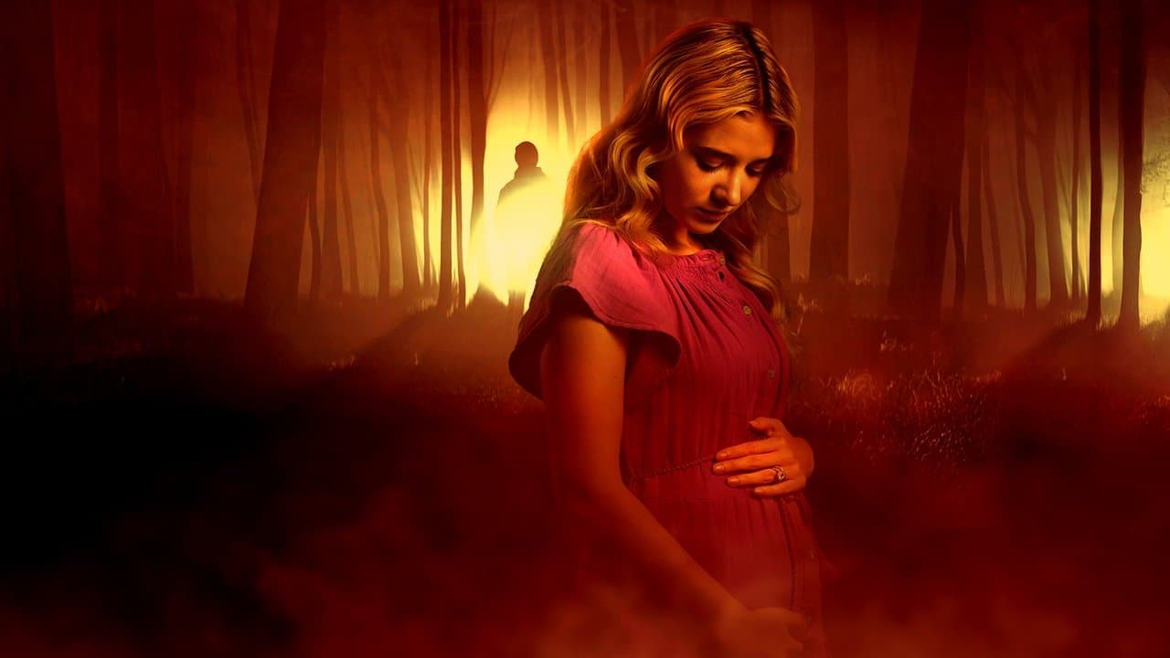 The Secret Lives of Sister Wivesの背景画像