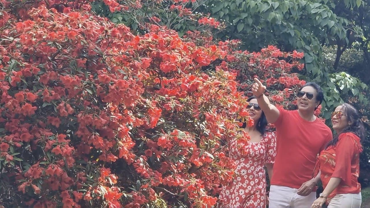 Virginia Water Lakeの背景画像