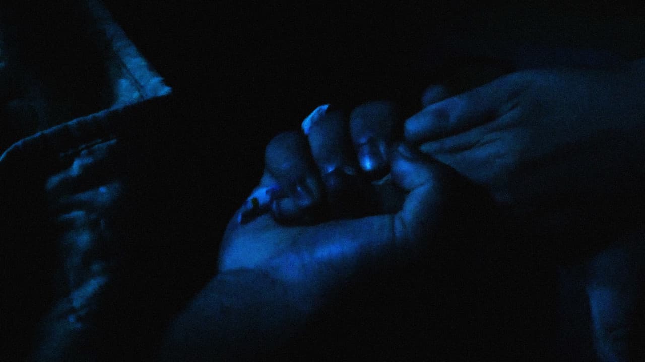 En lo oscuro no se veの背景画像