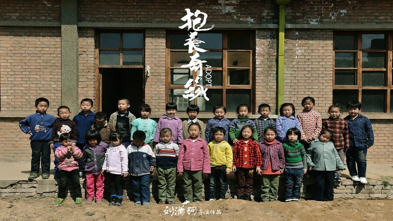 抱养奇缘の背景画像