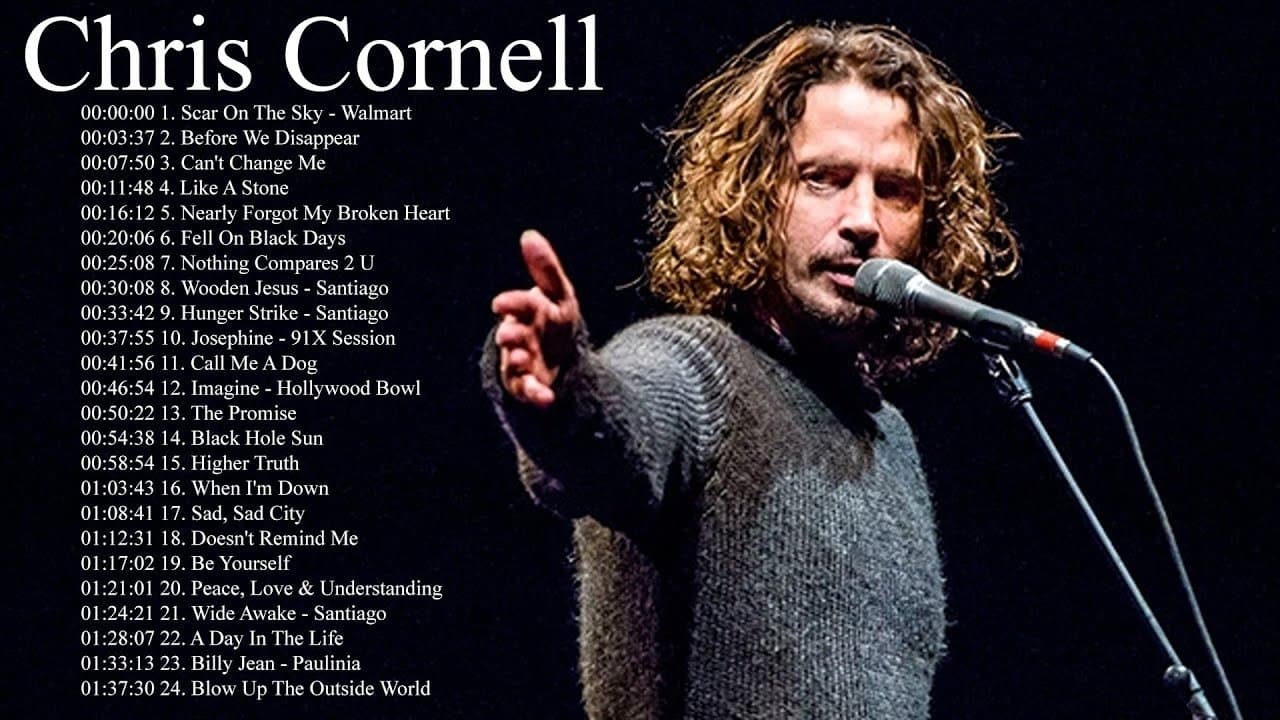 Chris Cornell - Pro Shot - Acoustic Liveの背景画像