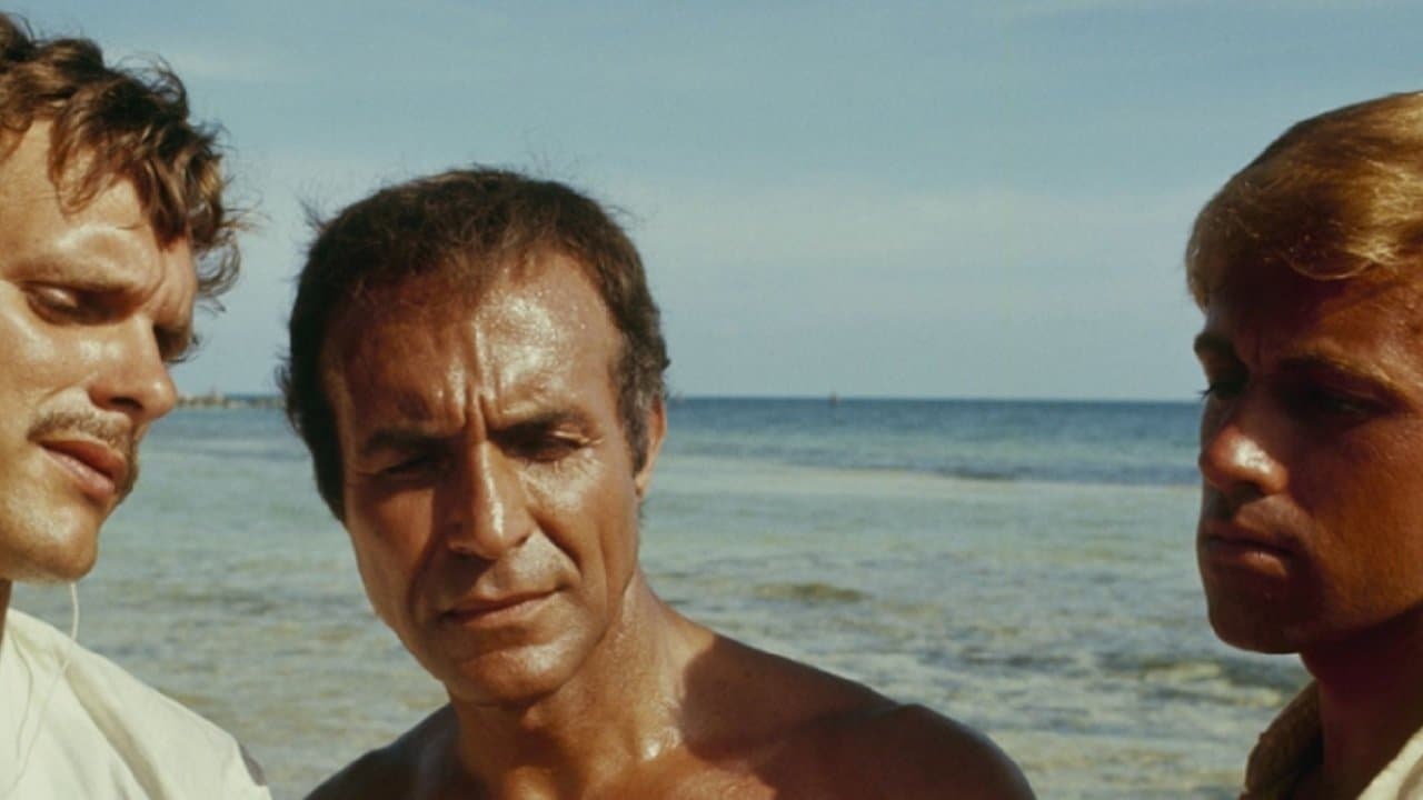 Black Water Goldの背景画像